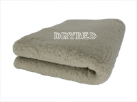 Tapis chien, Drybed